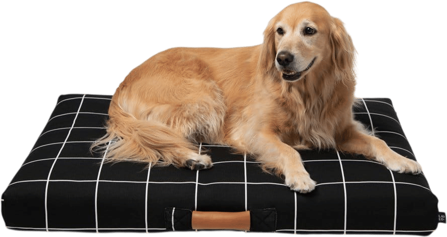 LAY LO Pets Black Grid Dog Bed