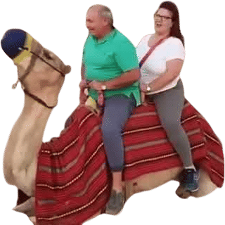 Romantic Camel Ride