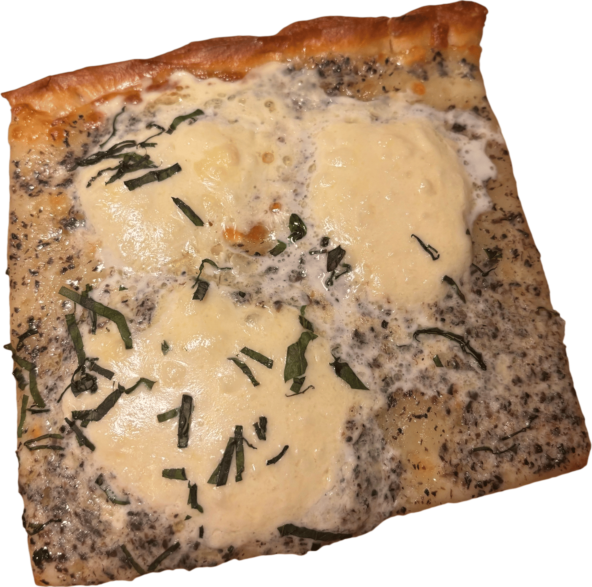 Truffle burrata pizza slice