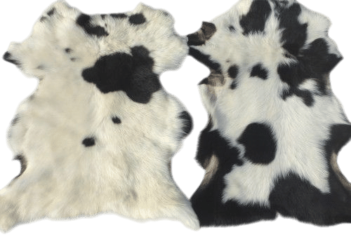 sheepskin shearling leather hide Black & White Spotted Toscana long silky hair