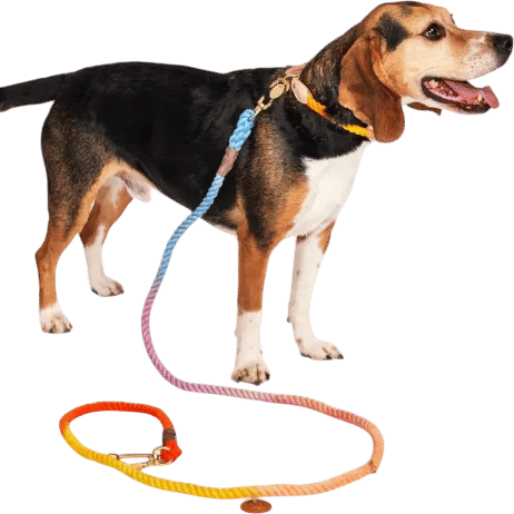 Members-Only Recommendation