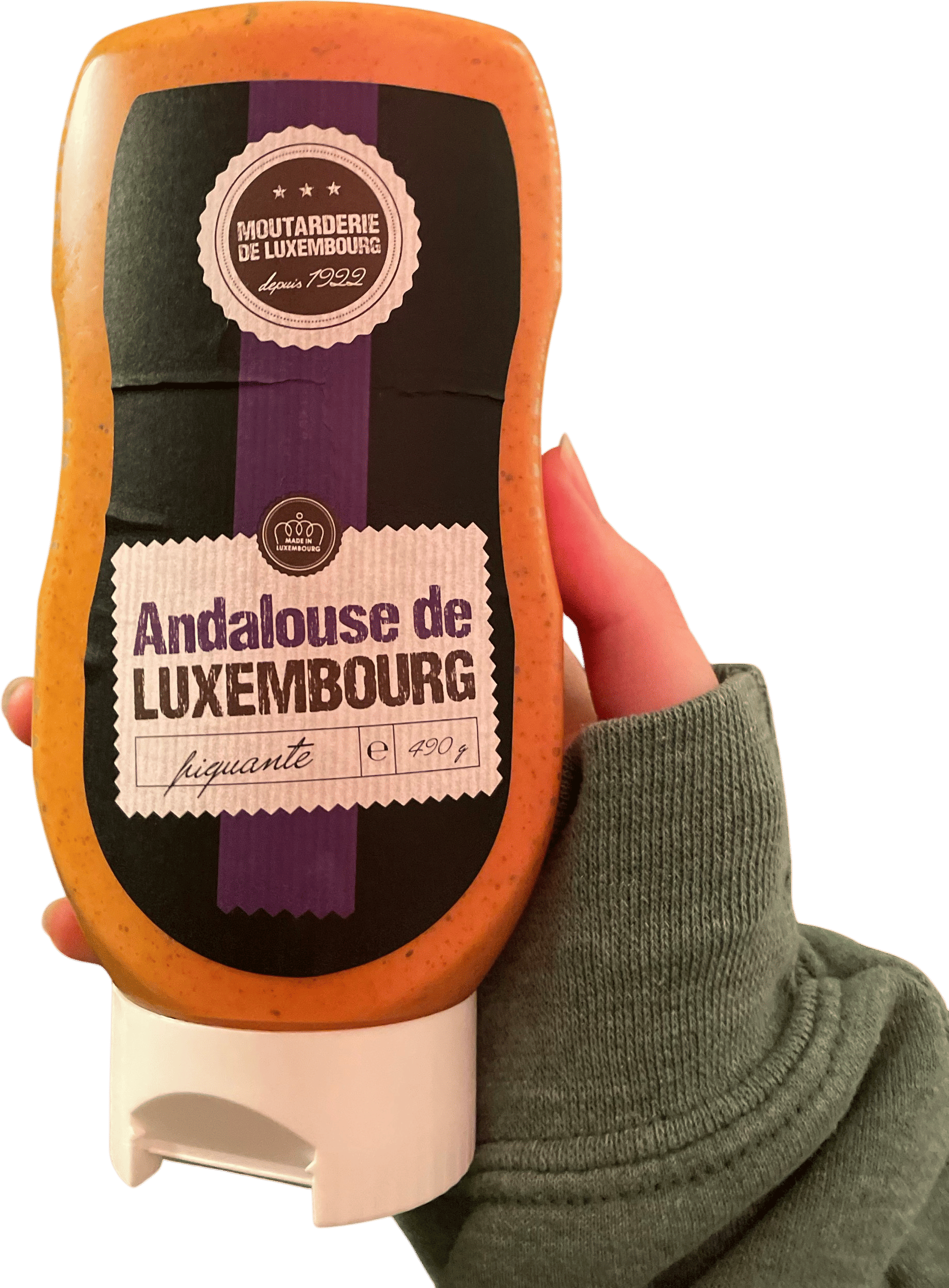 Andalouse sauce + fries
