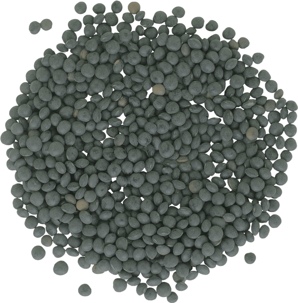 lentils
