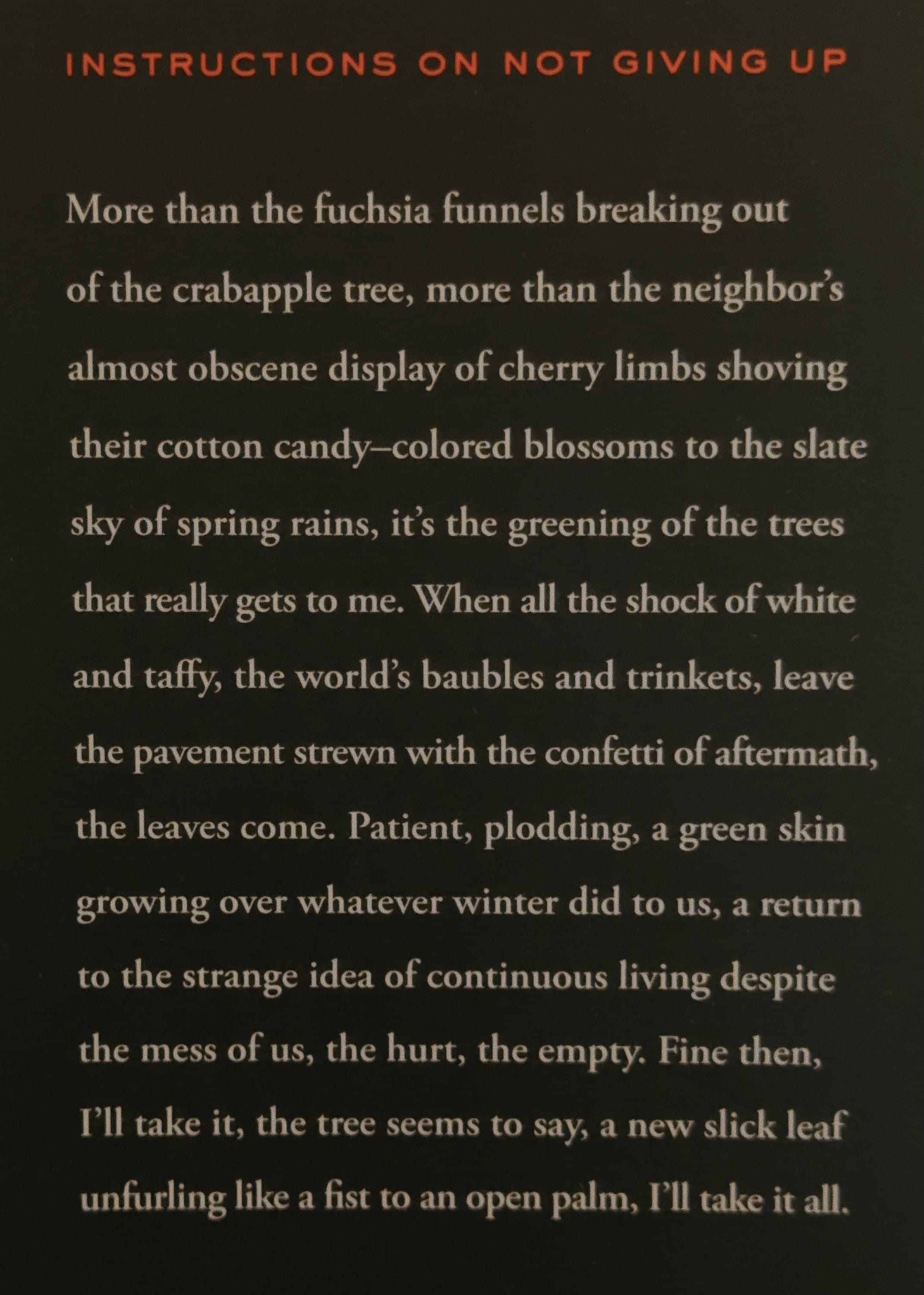 Instructions on Not Giving Up (Ada Limón)