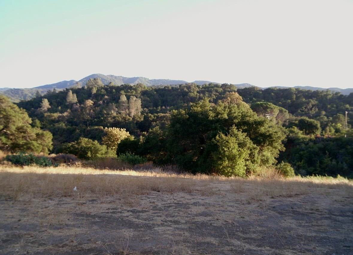Camp Snap (digital camera no screen)