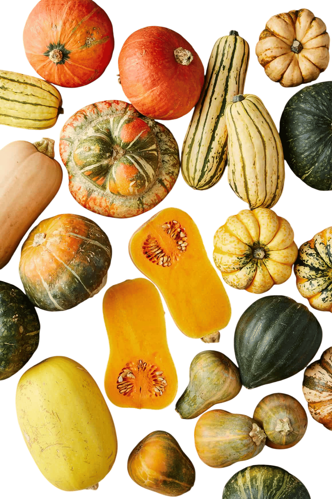 Some type of squash