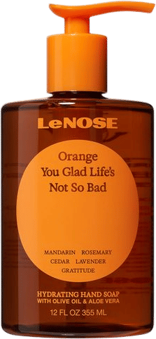 Orange You Glad Life's Not So Bad Hand Soap