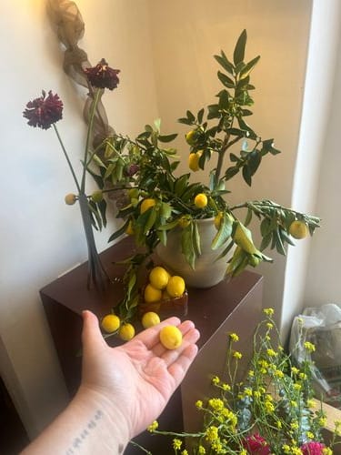 Give me baby fruits from your trees