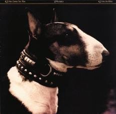 Here Comes Your Man - Pixies