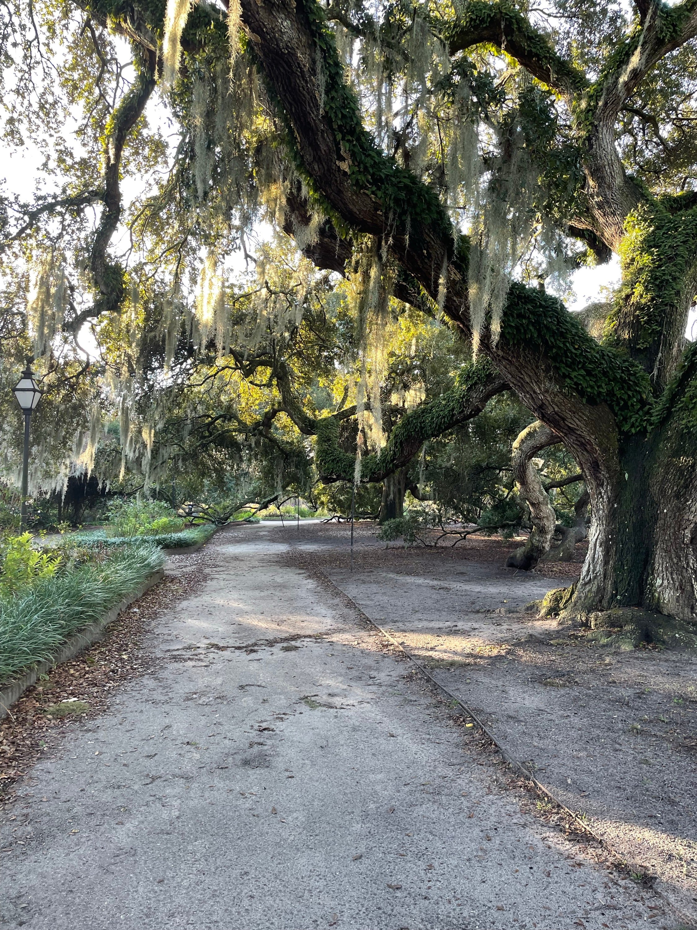 Hampton Park
