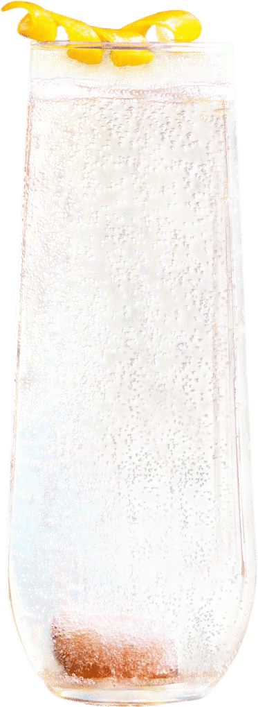 Champagne Cocktail