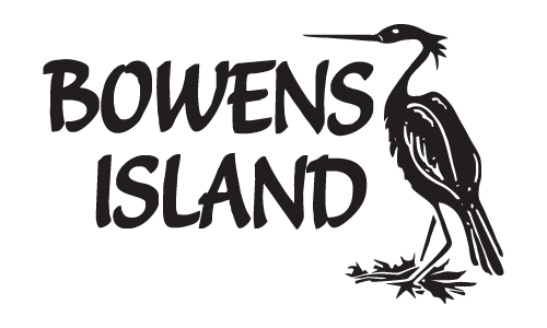 Bowen’s Island