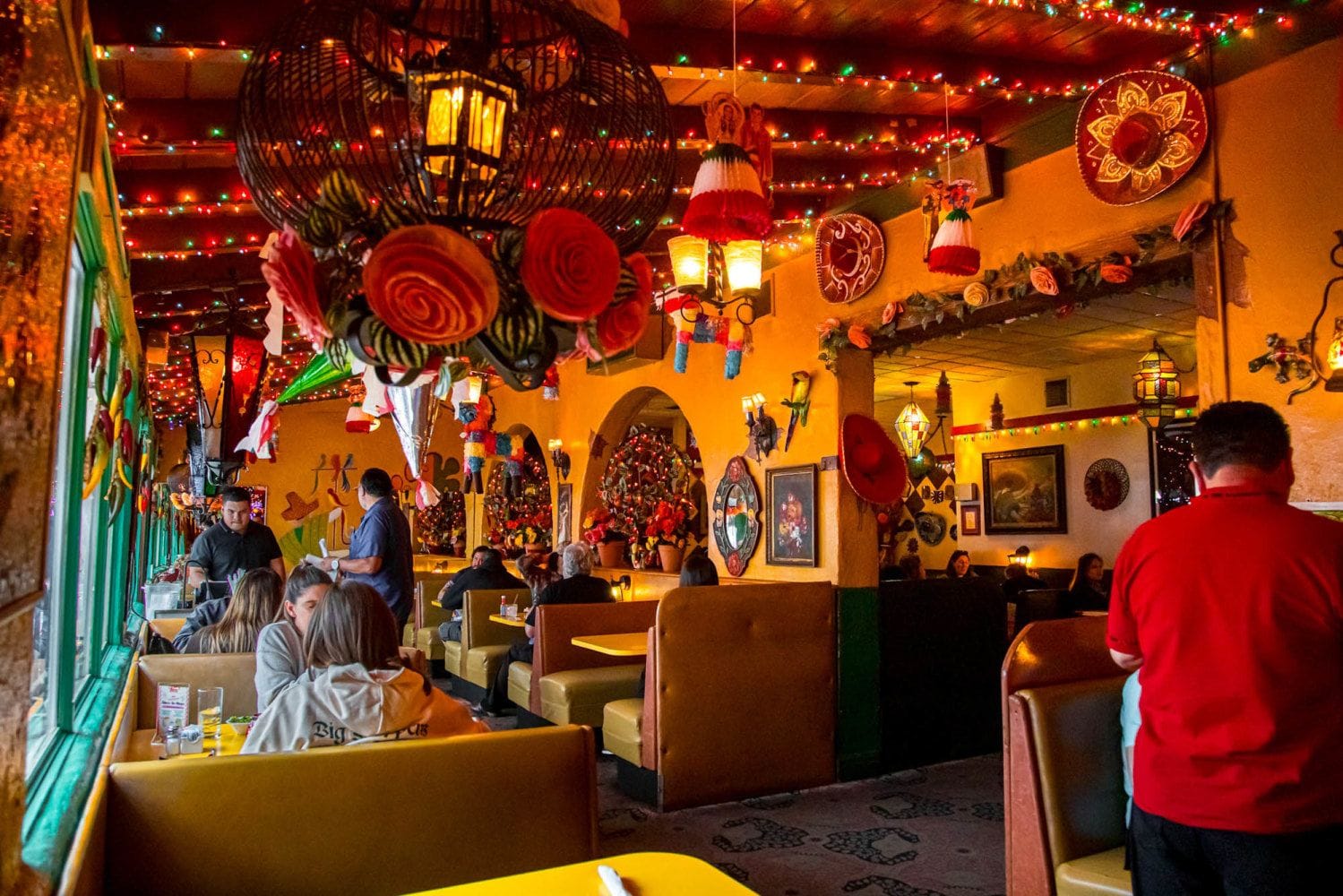 el coyote