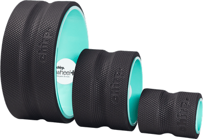 Chirp Wheel+