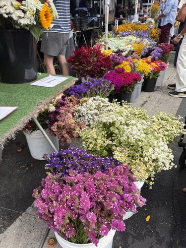 Hollywood Farmers Market
