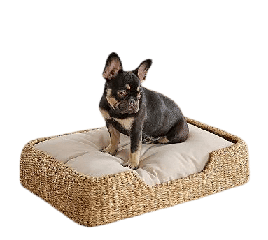 Safi Pet Bed
