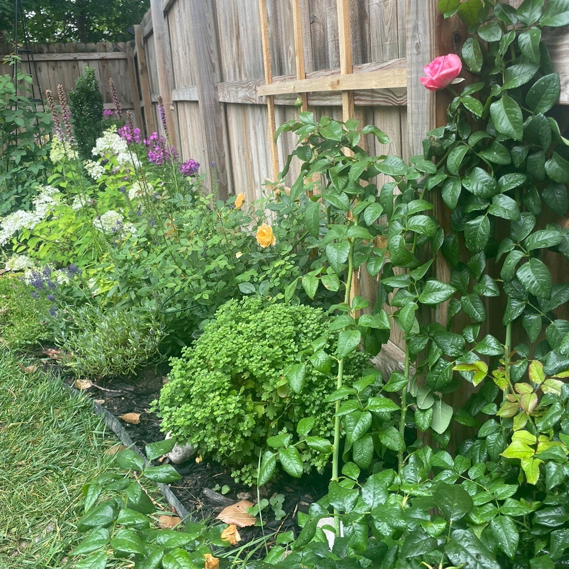 Gardening