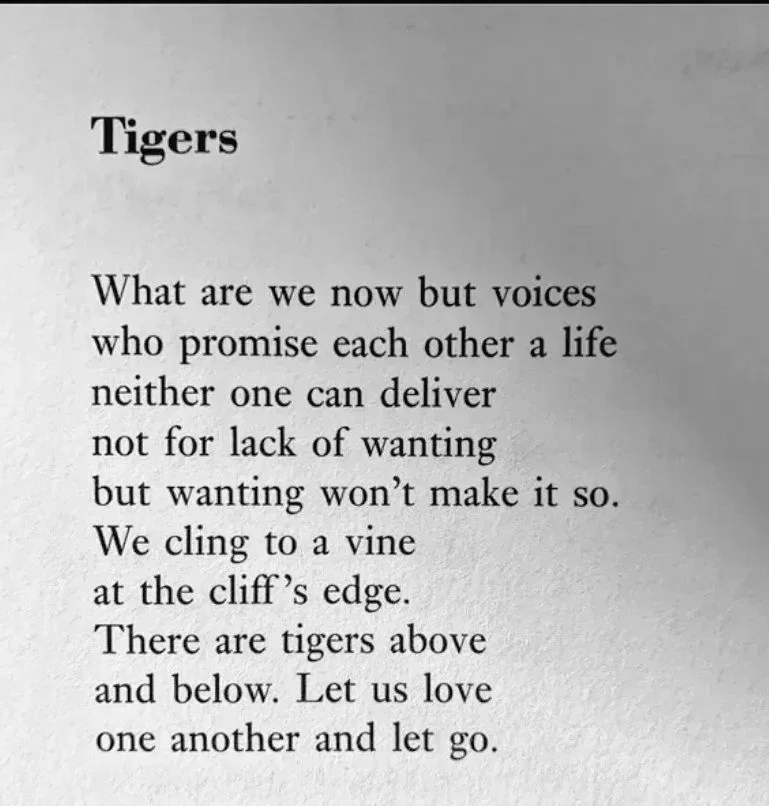 "Tigers" by Eliza Griswold