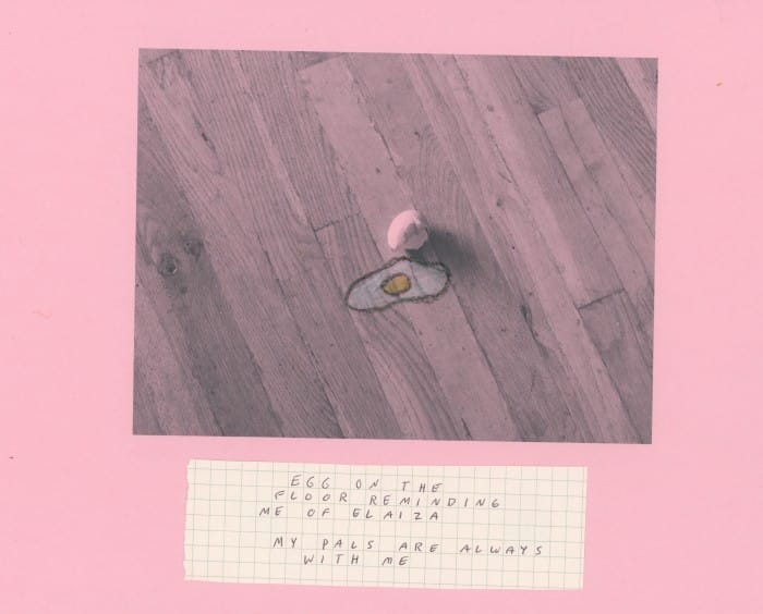 Signals & Signs - Rookie