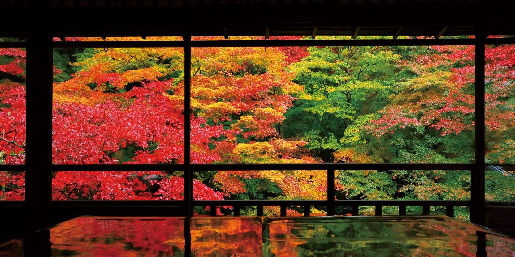✨ Rurikōin Temple 瑠璃光院