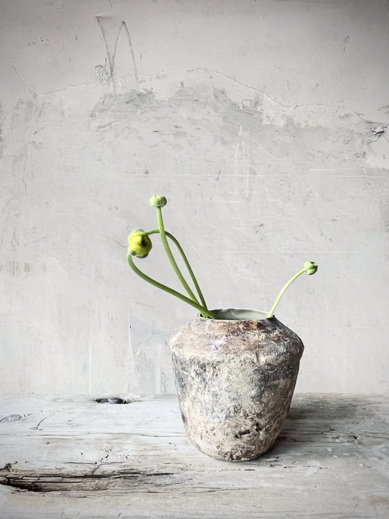 Thomas Bollman Ceramics