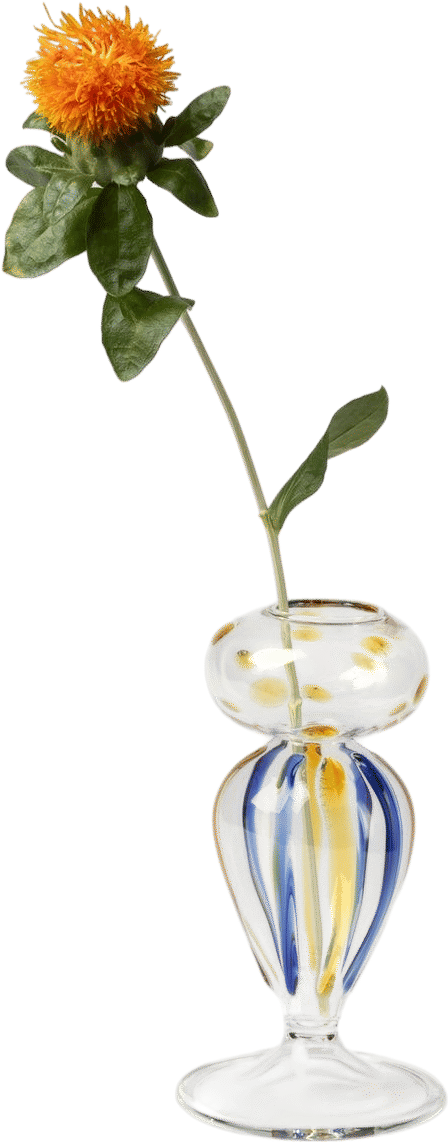 Members-Only Recommendation