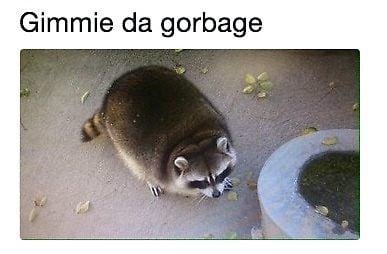 "Gimmie da gorbage" meme