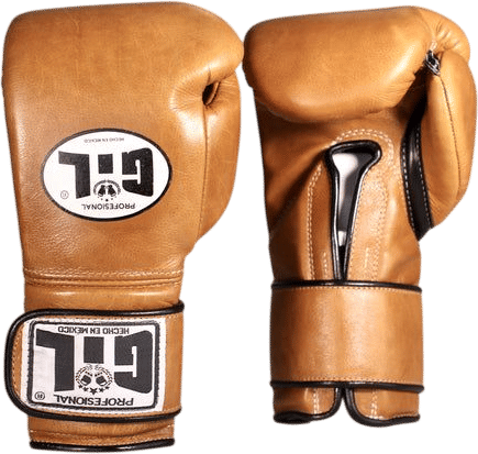 GIL Professional Boxing Gloves with Velcro