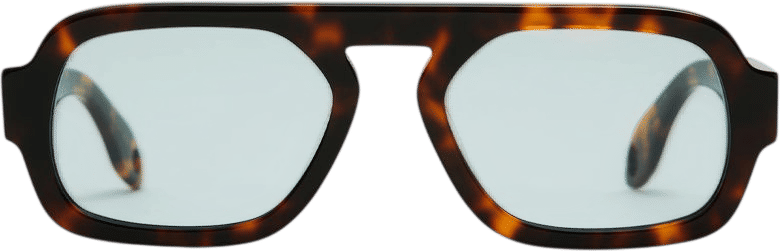 Tortoise aviators