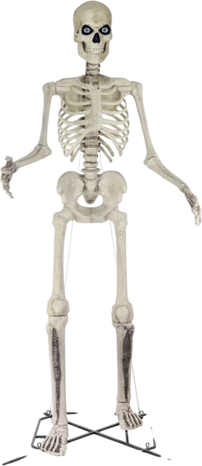 Giant skeleton in yard - hilarious