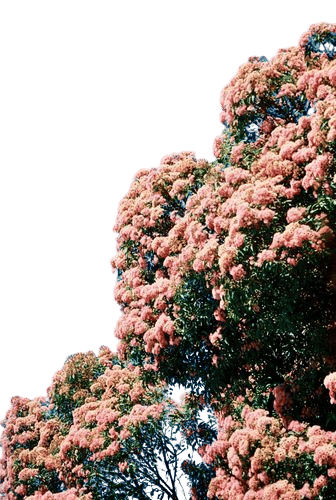 𝙰𝚙𝚛𝚒𝚕 ❀