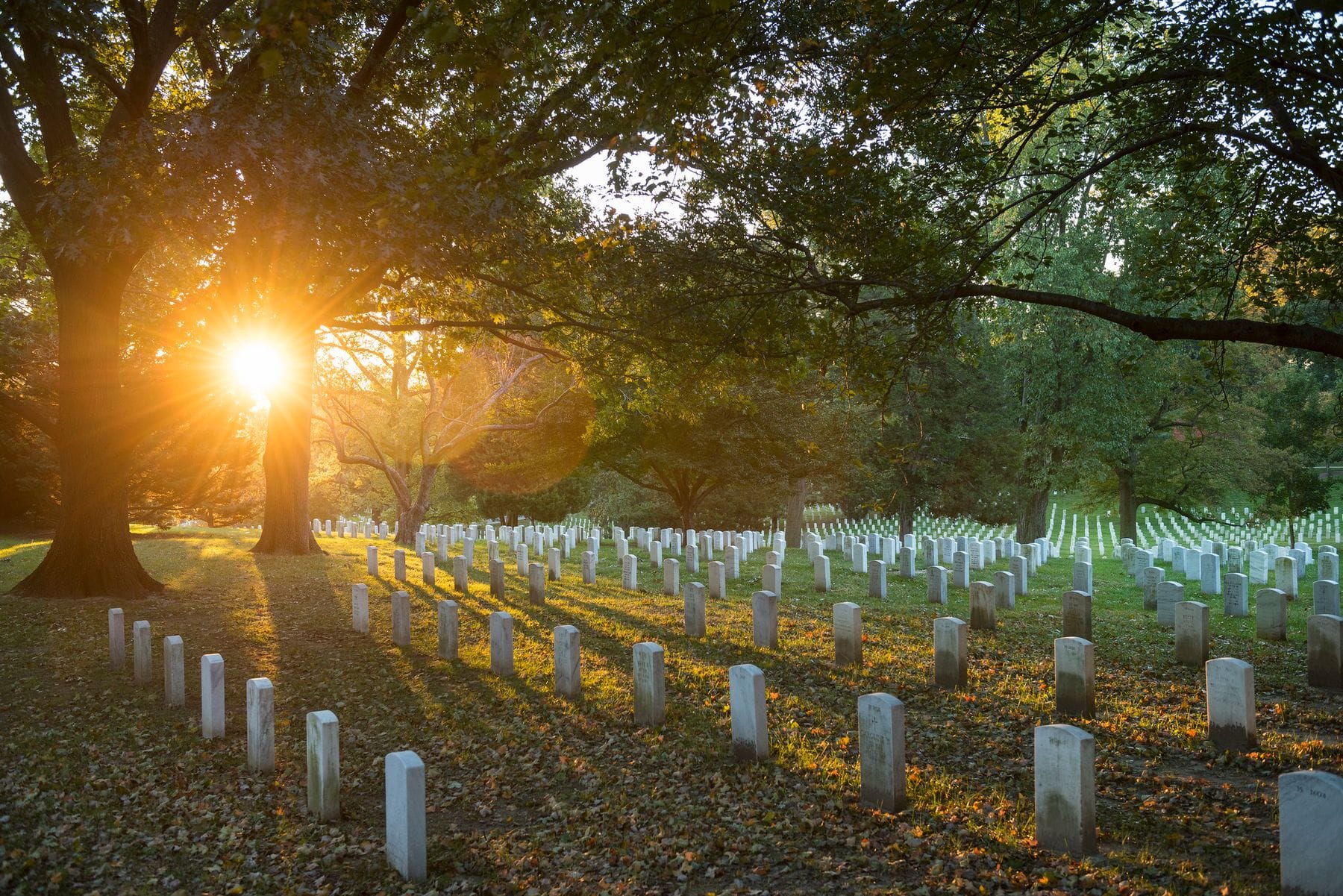 Arlington National Cemetery