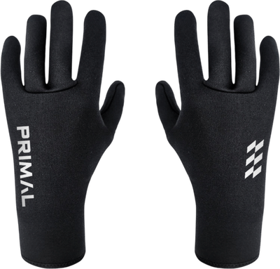 Black Winter Gloves