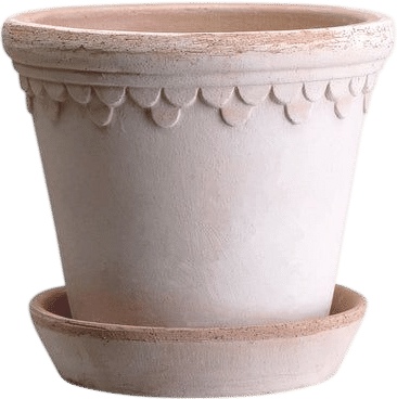 Københavner Terracotta Pot & Saucer