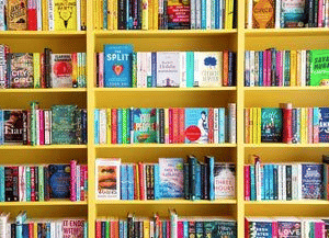 rare bird bookshop