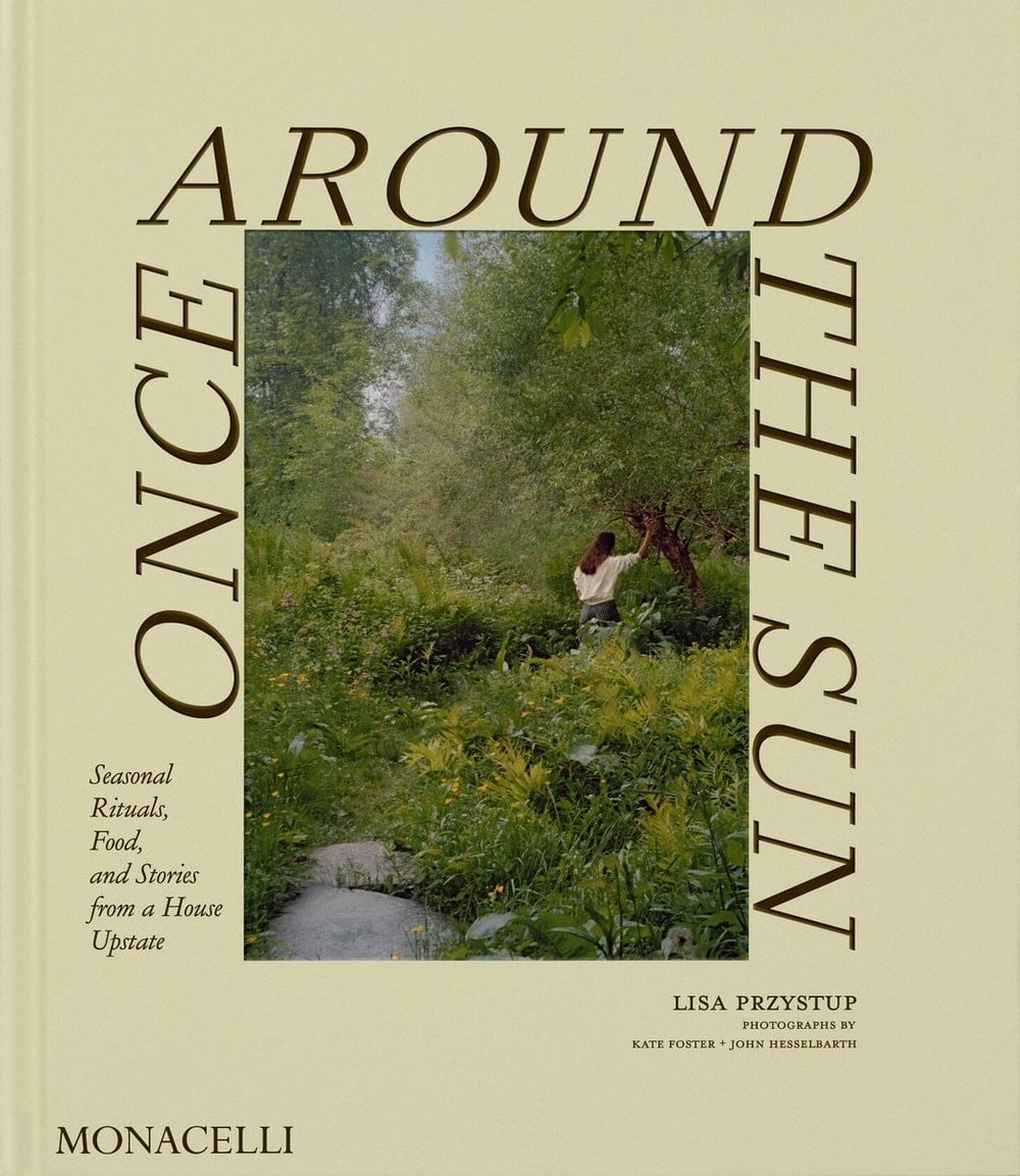 Once Around the Sun (Lisa Przystup)