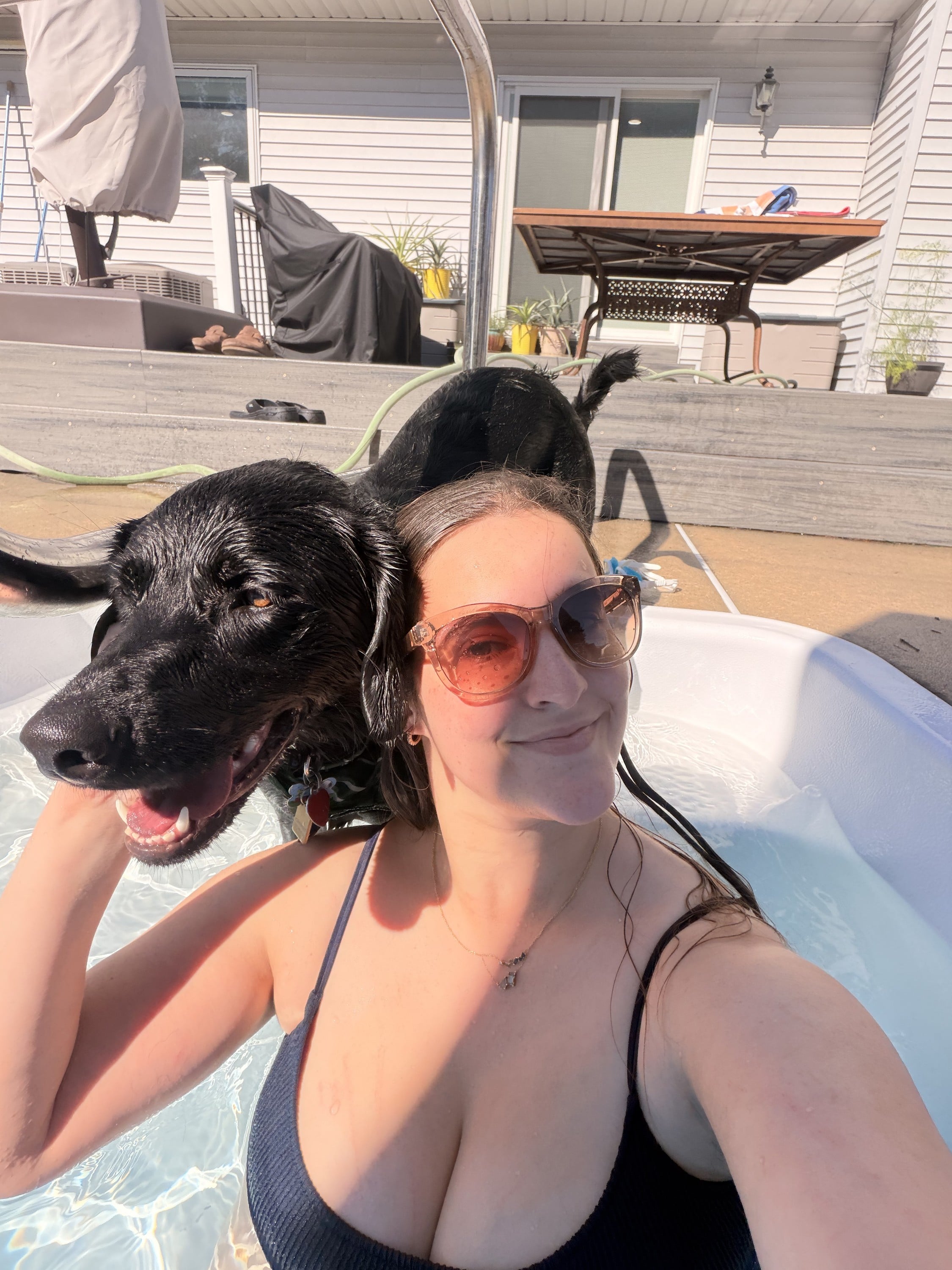 pool days with your Labrador