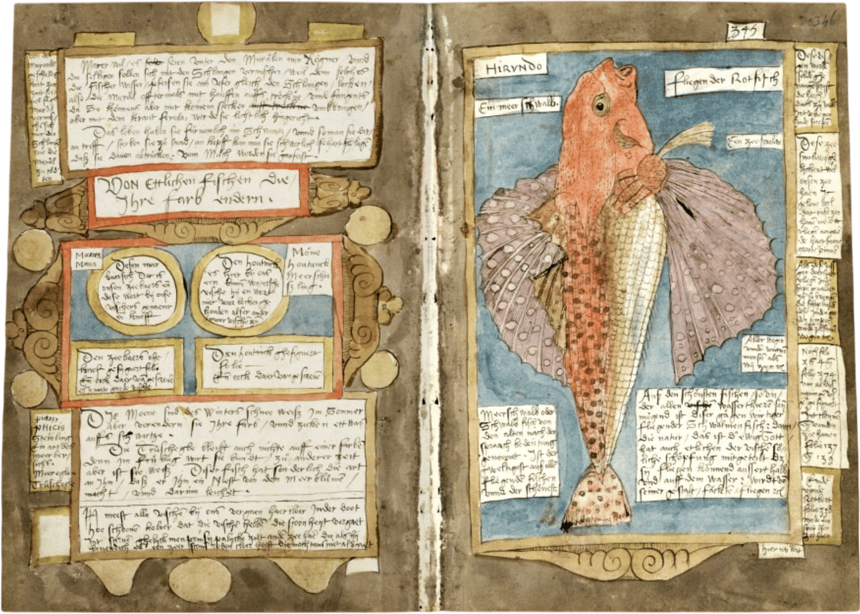 Visboeck (Adriaen Coenen, 1577-1581)