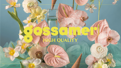 Gossamer Magazine