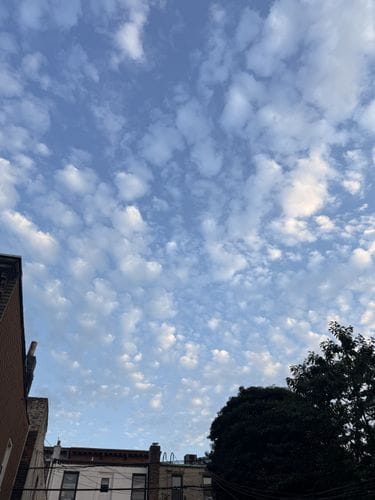 Mackerel Sky