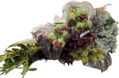 Dutch Flower Line
