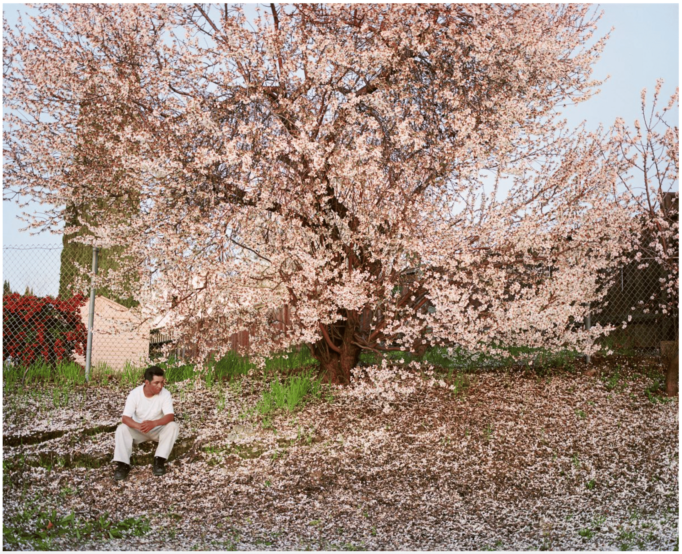 Larry Sultan's "Homeland"