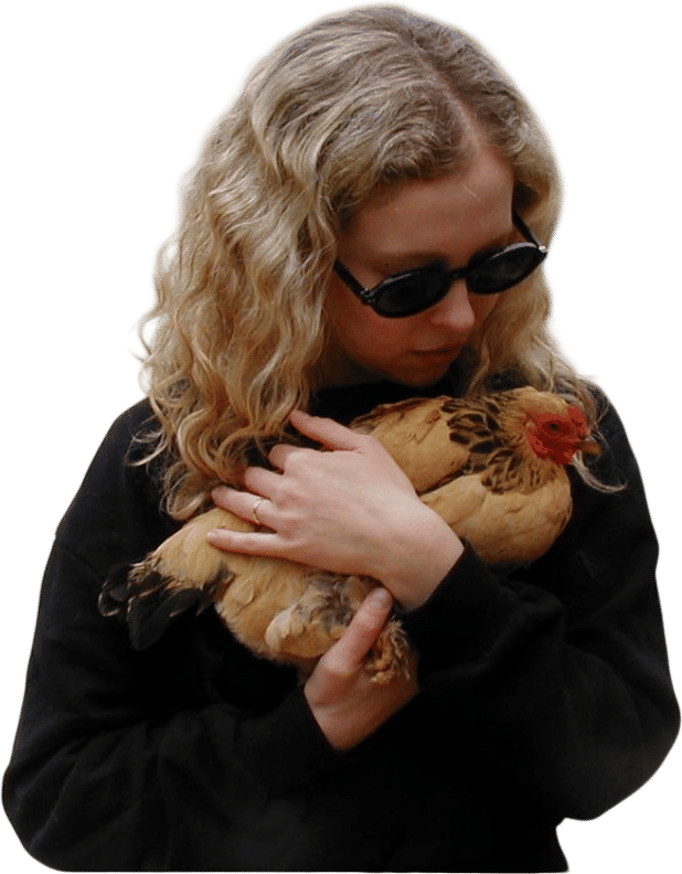 Hugging a chicken