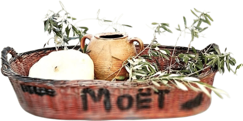 Moet Vineyard Grape Basket (French Antique)