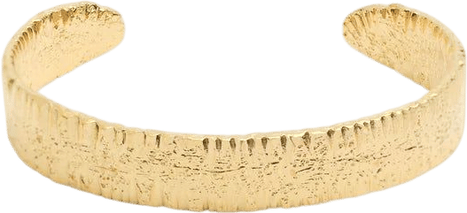 Anchovy Cuff