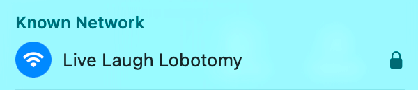 renaming your wifi to something silly