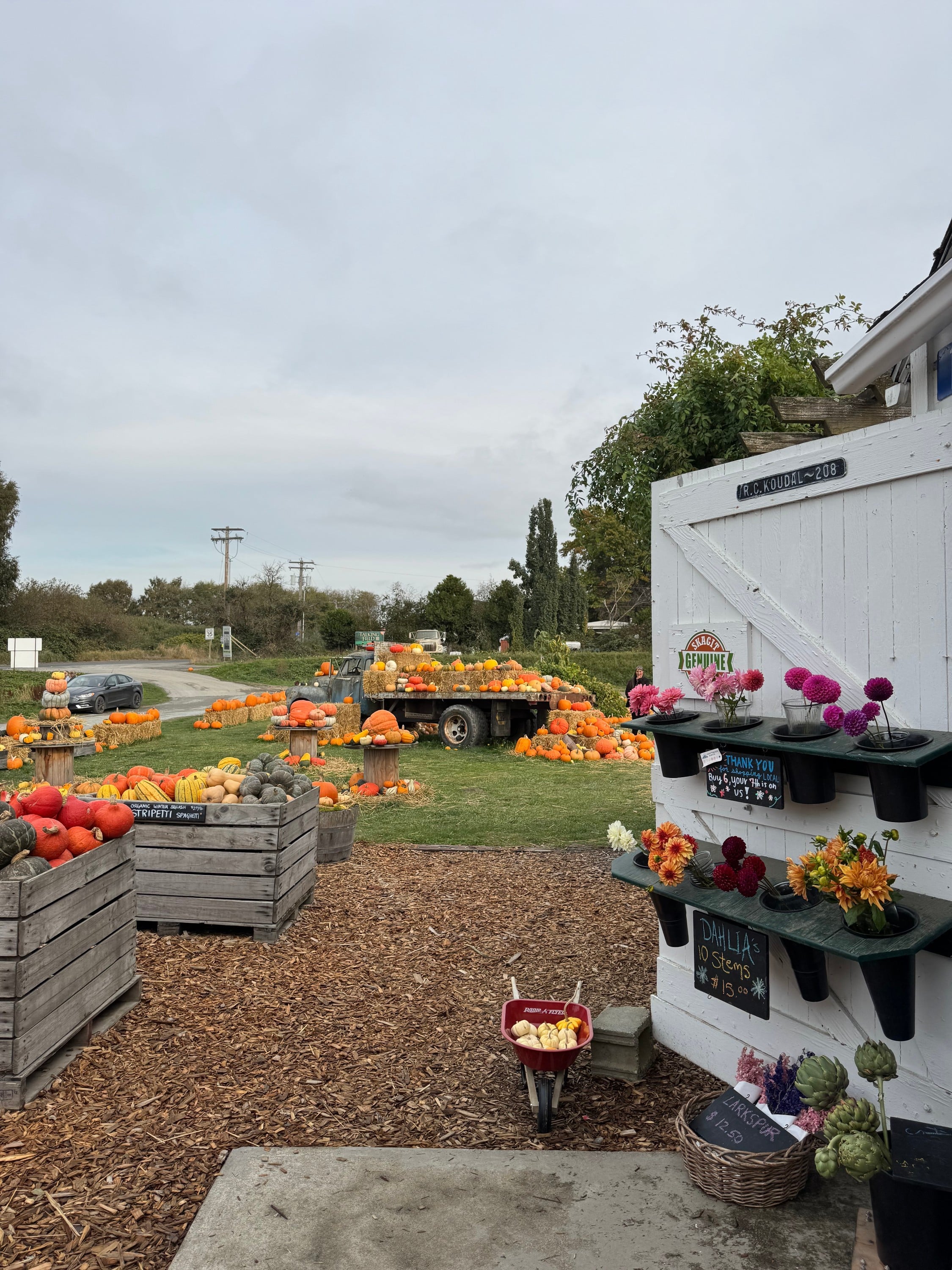 Hedlins Farm in La Conner