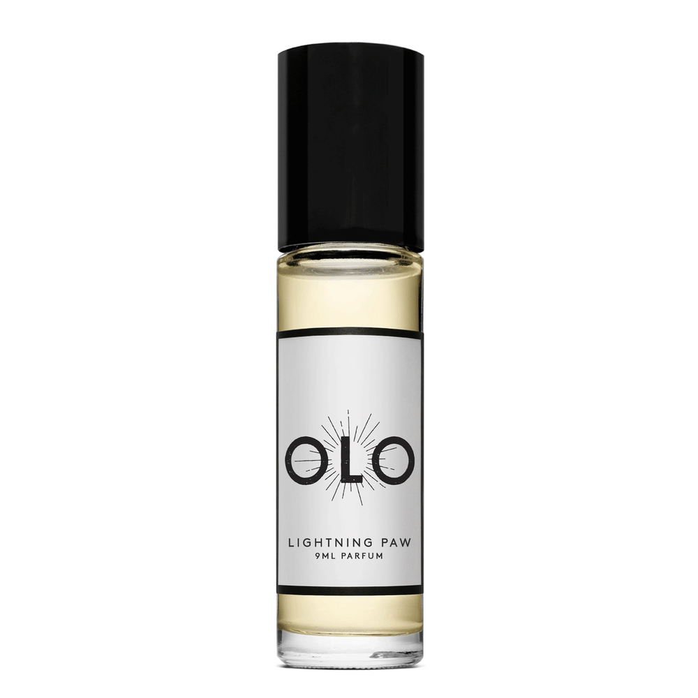 Lightning Paw by Olo