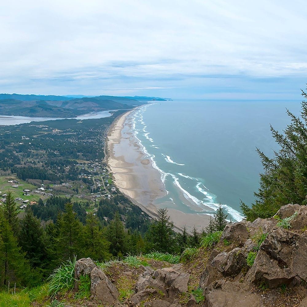 Manzanita
