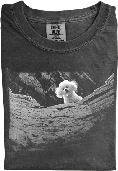 Silence Of The Lambs T-shirt